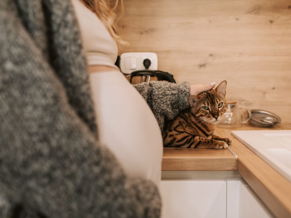 pexels vlada karpovich 8359651