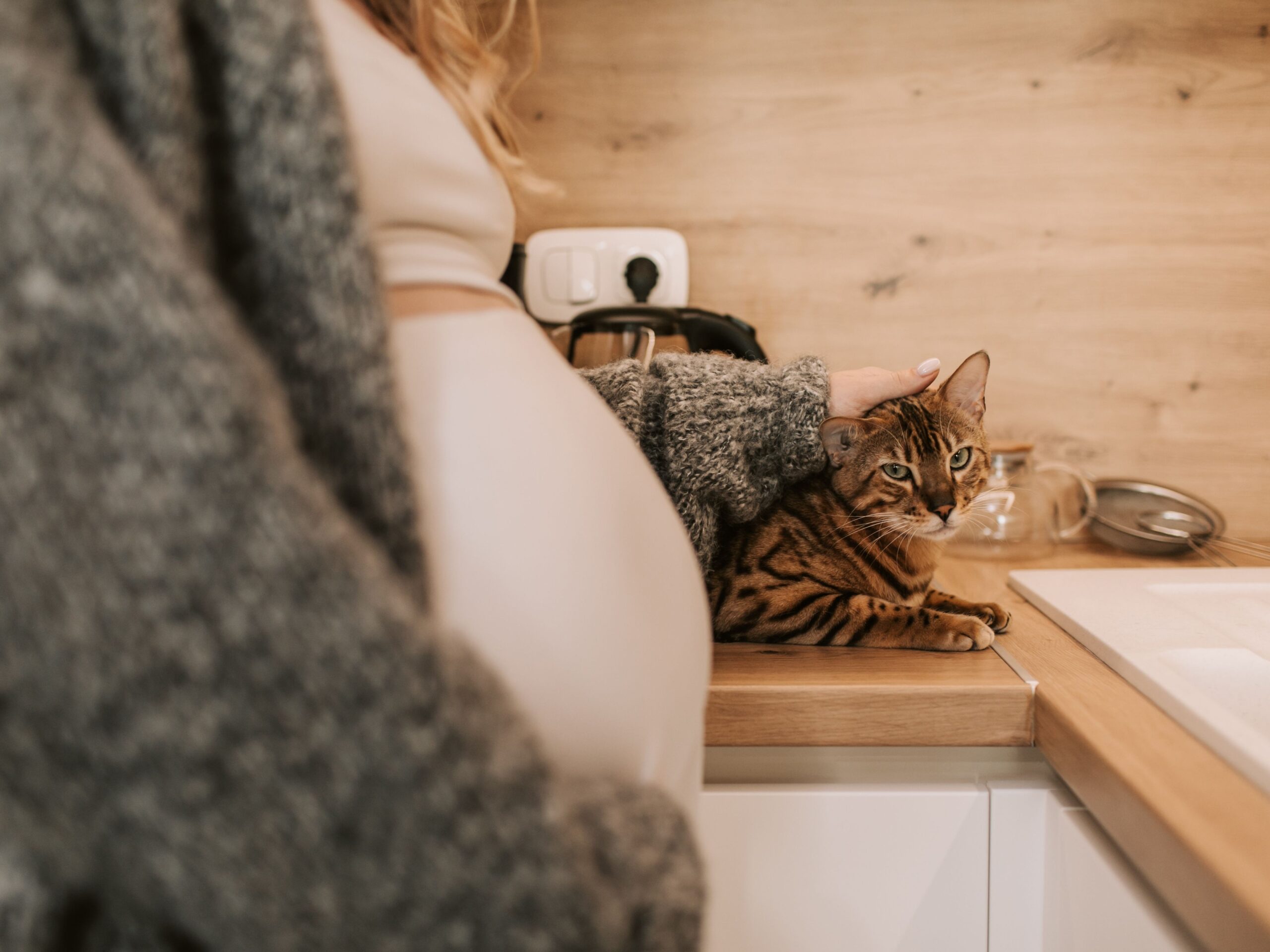pexels vlada karpovich 8359651